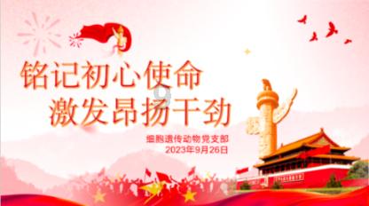 【“巾帼法律明白人”典型事迹展播】一起聆听许城街道孙美云的故事